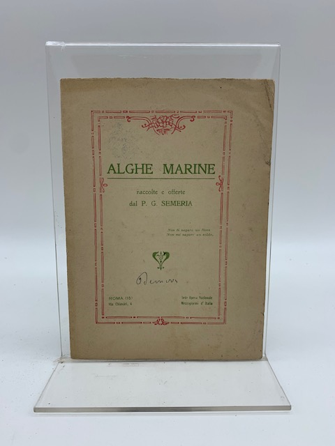 Alghe marine